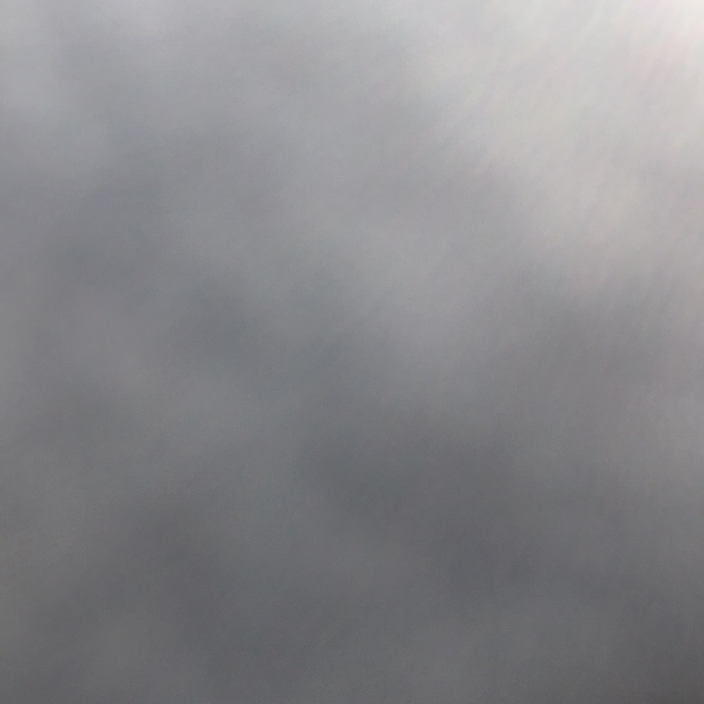 Meet your Posher, Piper